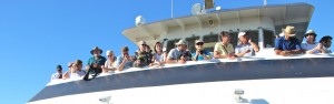 Whale watchers Hornblower Cruises San Diego