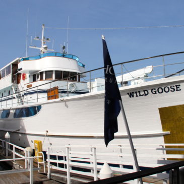 Cancer fundraiser cruises aboard John Wayne’s yacht in Newport Beach